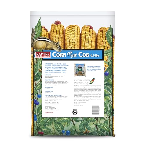 KAYTEE CORN ON THE COB, 6.5 LB