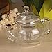 Vivoice Ultra 8.5oz(One Cup) Clear Heat Resistant Glass Teapot Infuser with 250 ml Glass Filter (250ml)