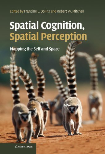SPATIAL COGNITION, SPATIAL PERCEPTION
