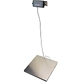 Angel USA 400 Pound Physician Digital Scale Body Weight Doctor Weighing Balance for Office, Home, Gym