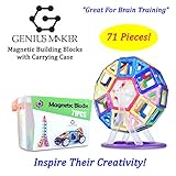 iTechVue GeniusMaker 83 PCS Magnetic Blocks Ferris Wheel, Deluxe Building Set in Portable Storage Box