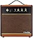 ClearClick Active Bluetooth Speaker - Vintage Retro 70's 80's Guitar Amp Style - Premium Wood & Faux Leather Design
