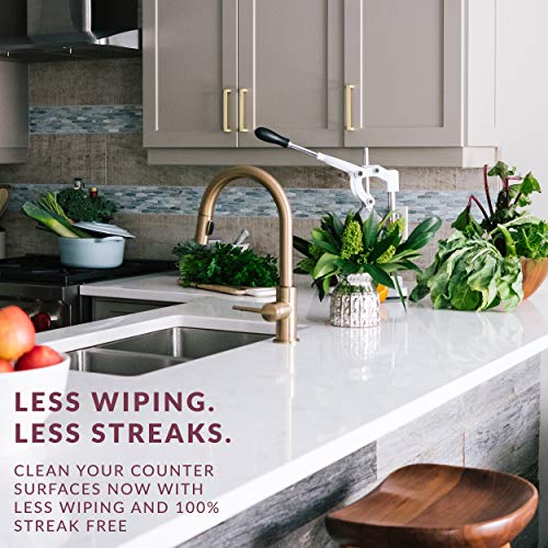 HOPE'S Perfect Countertop Cleaner and Polish 22Ounce, StreakFree