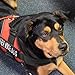Pawshoppie Real Reflective Service Dog Vest Harness 2 Free Removable Service Dog 2 “Emotional Support” Patches, Woven Polyester & Nylon, Comfy Soft Padding (XS(Girth:18-22''), Red)