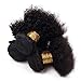 Veravicky Unprocessed Virgin Afro Kinky Curly Hair Extensions for Black Women Natural Color (10