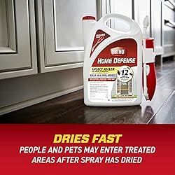 Ortho Home Defense Insect Killer for Indoor