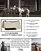 5 Star Equine – 3/4″ Thick Western Contoured All Around Saddle Pad 30″ x30 Great for Barrel Racing, Trail Riding & Roping. Free Saddle Pad Cleaner Shipped Separatelythumb 2