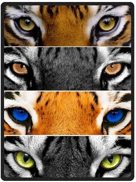 Amazon.com: And Comfortable Tiger Custom Blanket 58" x 80" (Large