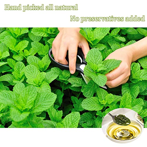 Yan Hou Tang Peppermint Tea Loose Leaf Spearmint Herbal Tea Refreshing Mint Tea Pepermint Leaves 225g