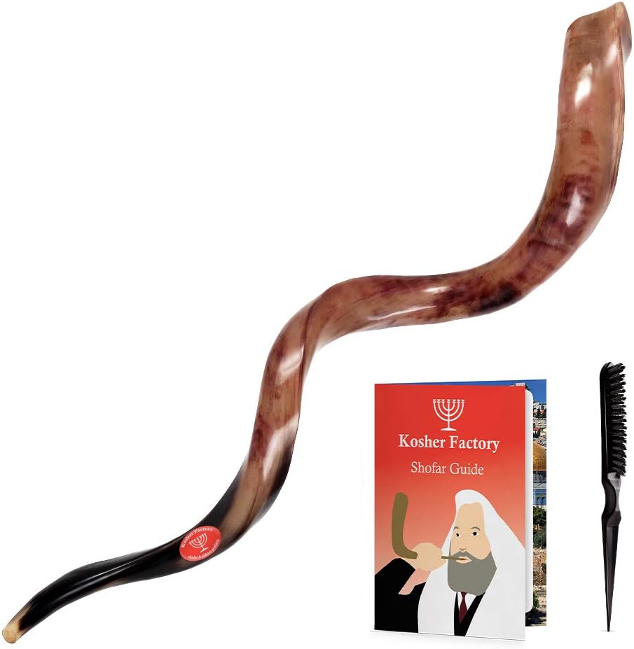 Por Factory 88,9 cm 93,98 cm por Shofar yemenita de alta calidad y a