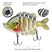 BASSDASH SwimPanfish Multi Jointed Panfish Bluegill Swimbaits Hard Topwater Bass Lures Fishing Lure Crank Saltwater 3.5in/0.85oz