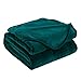 Exclusivo Mezcla Fleece Blanket for Bed, Super Soft and Warm Teal Queen Blankets, All Season Use, Cozy, Plush, Lightweight, 90x90 inches