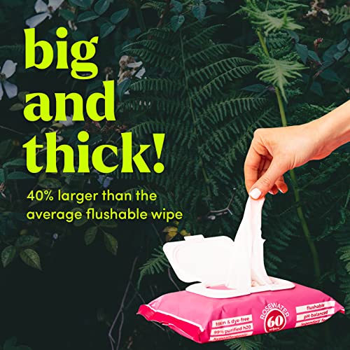 Goodwipes Flushable Butt Wipes Made w/Soothing Botanicals & Aloe Soft & Gentle Wet Wipe