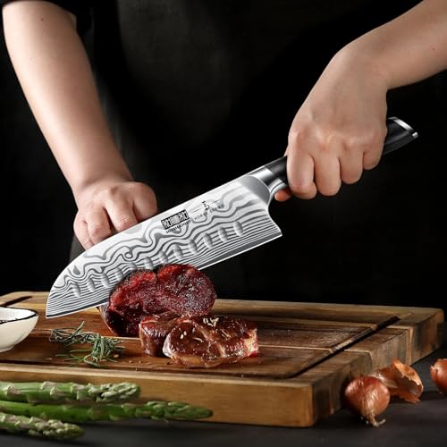 HOSHANHO 5 Piece Kitchen Knife Set, Professional Chef Knife Set Powder Steel, Ultra Sharp Japanese Kitchen Knife with Ergonomic Handle by Pakkawood