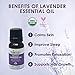Sky Organics Organic Lavender Essential Oil, 100% Pure and Cold-Pressed USDA Certified Organic for Aromatherapy & DIY, 10ml.