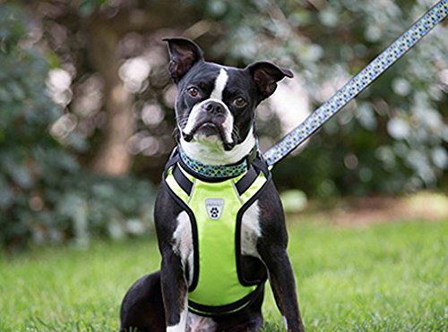 canine friendly harness