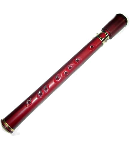 Amazon.com: Xaphoon Bamboo Saxophone BAMBOO SAX (Key C) : Musical