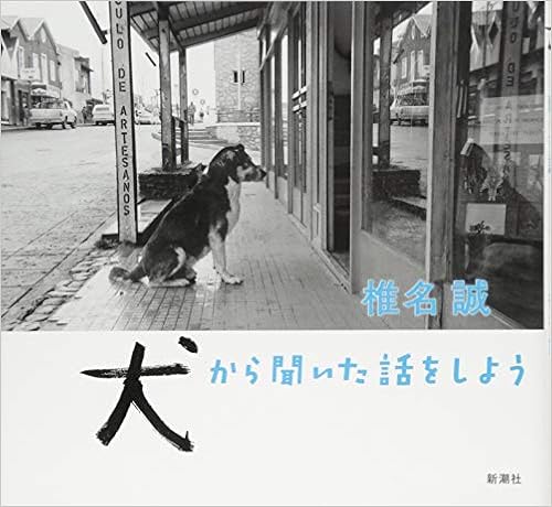 犬から聞いた話をしよう (日本語) 単行本 – 2017/12/22の表紙