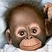Realistic Baby Monkey Doll: Baby Zachary by Ashton Drake