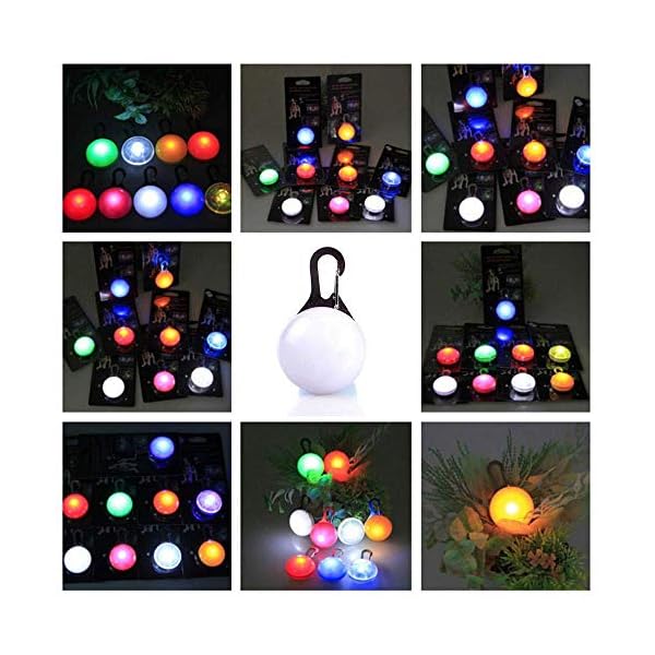 GOUSHENG collar Animali Domestici  Pet LED Pendant, 7 Pack Pet Collare Anti-Perso Light Up Collari per Cani Water Resistant Clip-On Dog Cat Collar Light - Safety Night Walking Lights Criceto per Cani