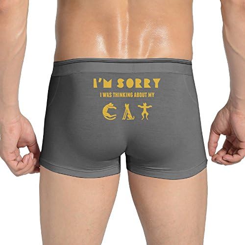 Men's I'm Sorry I Was Thinking About My Cat Boxer Briefs Underwear