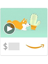 Amazon.com eGift Card