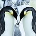Cute Animals- Penguins 2017 Monthly Wall Calendar, 12