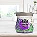 Renuzit Pearl Scents Air Freshener, Serenity Lavender, Eucalyptus & Jasmin, 9 Ounces (Packaging May Vary), Pack of 8
