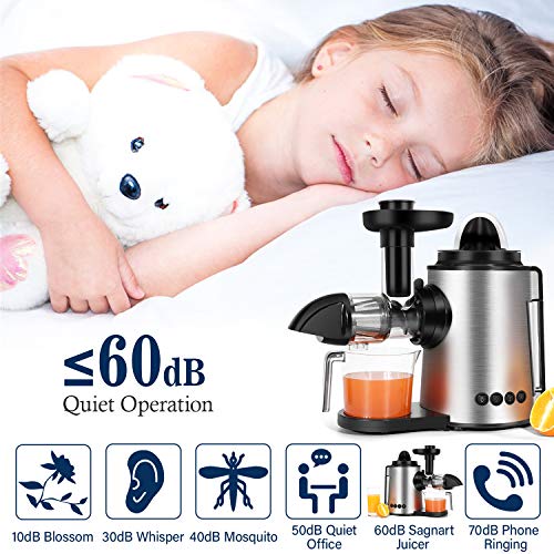 Sagnart Masticating Juicer Slow Juicer Extractor Cold Press Juicer