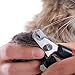 Paws & Pals Dog Nail Clippers - Scissors for Large or Small Dogs and Cats Stainless Steel Trim Blades with Safety Guard - Large