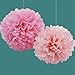 Tissue Paper Flowers By Festival Hands-5pcs,Pink,2 Sizes,Pom Poms Decor,Parties Decorations ,Tissue Paper Pom Poms,Baby Shower Party Supplies,Tissue Paper Pom Poms Pink,Paper Tissue Pom Poms