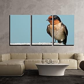 3 Piece Canvas Wall Art - Close Up of a Wild Bird - Modern Home Art Stretched and Framed Ready to Hang - 16"x24"x3 Panels