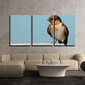 Close Up of a Wild Bird x3 Panels