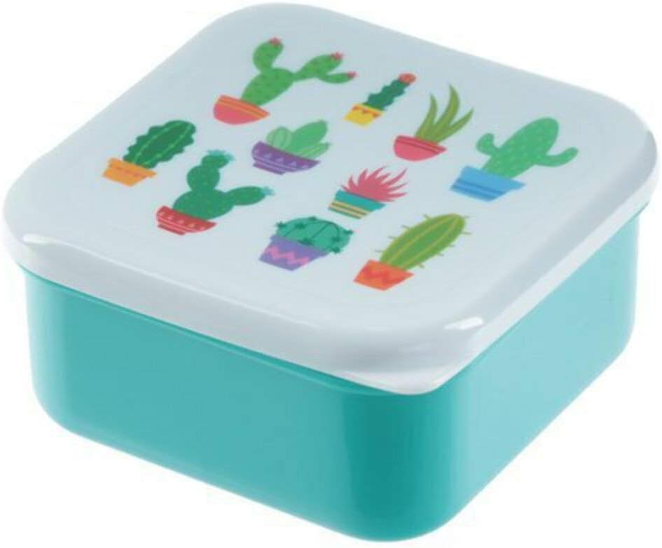 Puckator Cactus Set of 3 Food Containers, Orange/Green/Purple - Image 3