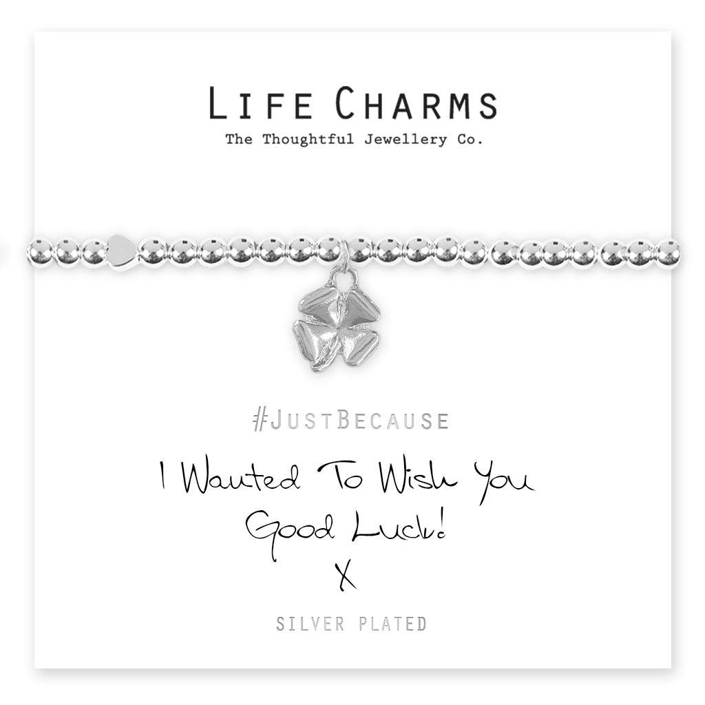 Life Charms I Wanted to Wish You Good Luck Bracelet