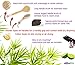 Dry Brushing Body Brush Set - Large Set: Bamboo - Natural Boar Bristle Dry Body Brushes Best for Cellulite and Lymphatic Flow, Dry Skin Exfoliation, Detox, Pumice Stone Gift, How To Guide