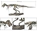 ESALINK T-Rex Replica Skeleton Model Assembly Saft PVC Non-Toxic and Eco-Friendly 3D Puzzles Dinosaur Simulation Edu-Toys