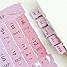Chris.W 8Sheets Self-Stick Mini DIY Paper/PVC Monthly Calendar Index Tabs Reminder Stickers Flags for Appointment Book Events Diary Scrapbook Personal Planner (Multi-Color)