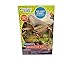 Discovery Kids Dinosaur Excavation Kit - Assorted