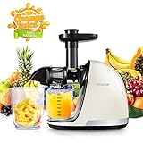 Slow Juicer,AMZCHEF Slow Masticating Juicer Extractor Professional Machine with Quiet Motor/Reverse Function,Cold Press Juicer with Brush,for High Nutrient Fruit & Vegetable Juice