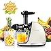 Slow Juicer,AMZCHEF Slow Masticating Juicer Extractor Professional Machine with Quiet Motor/Reverse Function,Cold Press Juicer with Brush,for High Nutrient Fruit & Vegetable Juice