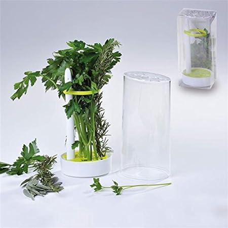 Recipiente para evitar olores en la nevera, para hierbas ...