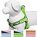 Blueberry Pet Soft & Comfy 3M Reflective Step-in Pastel Color Padded Dog Harness, Chest Girth 23.5
