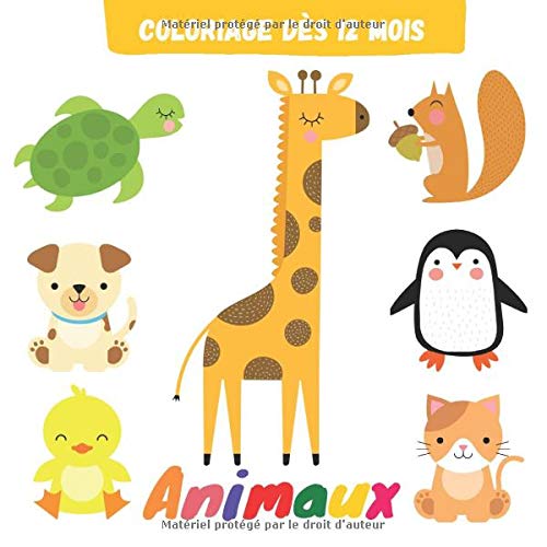 Coloriage Des 12 Mois Mon Premier Bloc De Coloriage Pour Les Tout Petits Livre Coloriage Bebe Animaux Coloring Harry Amazon Fr Livres