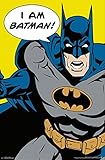 Trends International Batman I am Batman Collector's Edition Wall Poster 24