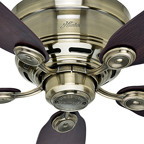 Hunter Fan 42" Low Profile Antique Brass Finish with Dust Armor Protected Dark Reversible Blades (Certified Refurbished)