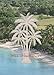 Oval Palm Tree Etched Window Decal Vinyl Glass Cling - 8