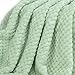 Fuzzy Blanket or Fluffy Blanket for Baby, Soft Warm Cozy Coral Fleece Toddler, Infant or Newborn Receiving Blanket for Crib, Stroller, Travel, Decorative (28Wx40L, XS-Pastel Green)