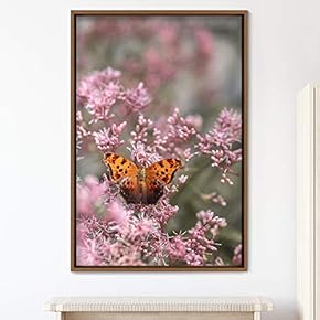 signwin Framed Canvas Wall Art Butterfly Expressive Farmhouse/Country...