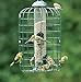 More Birds Squirrel-X Bird Feeder, Cage Tube Feeder Keeps Squirrels Out, 4 Feeding Ports, 1.5 lb Seed Capacity